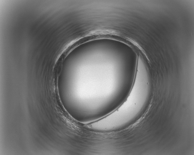 X0000059820973200510210951