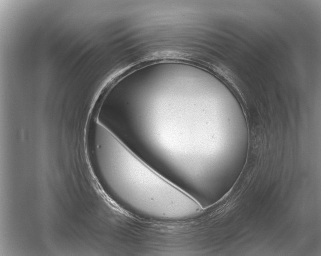 X0000059820987200510210951