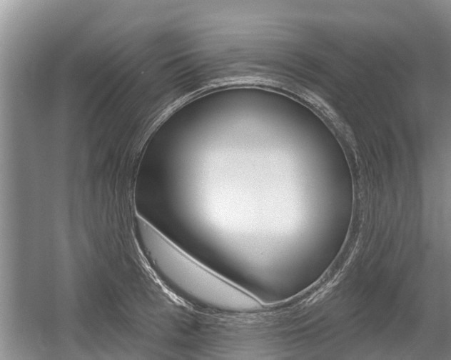 X0000059820993200510210951