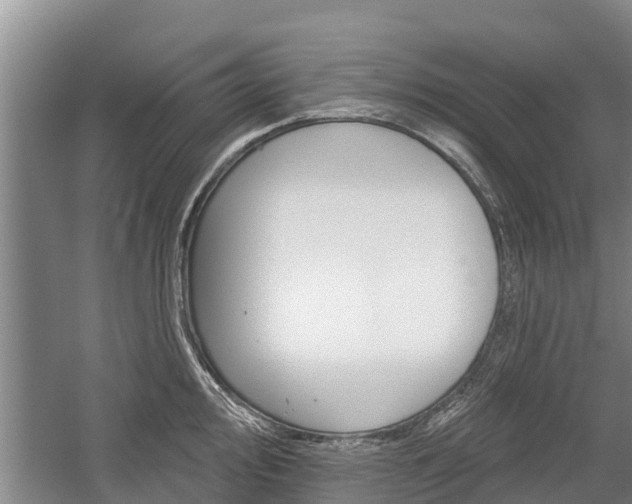 X0000059821000200510210951