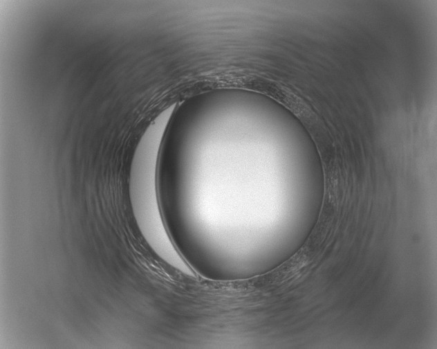 X0000059821010200510210950