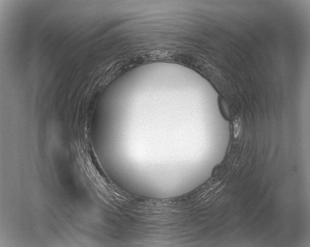 X0000059821011200510210950