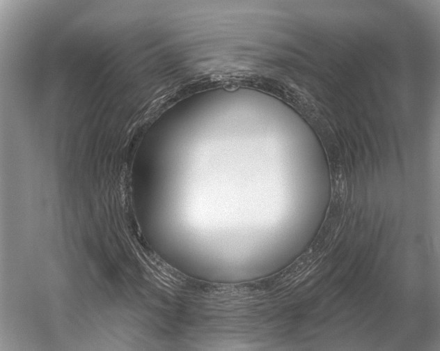 X0000059821012200510210950