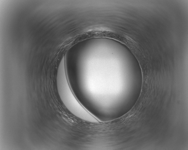 X0000059821014200510210950