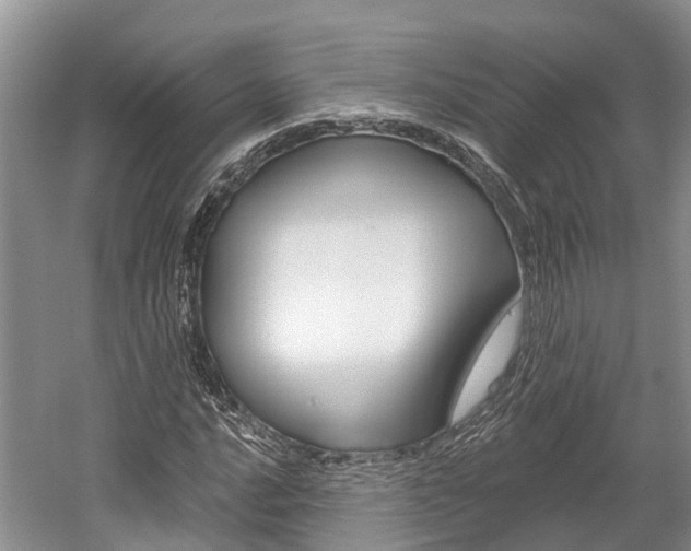 X0000059821016200510210950