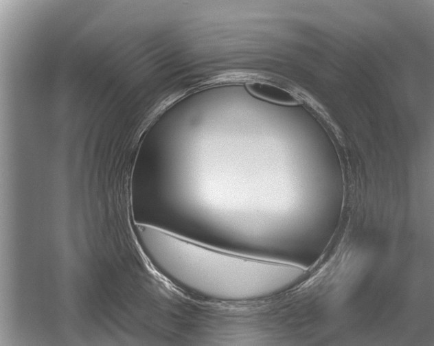 X0000059821049200510210950