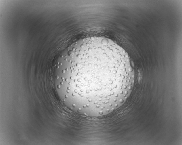 X0000059821059200510210950