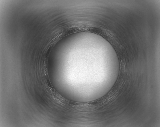 X0000059821060200510210950