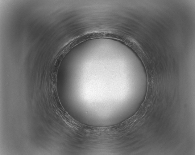 X0000059821064200510210949