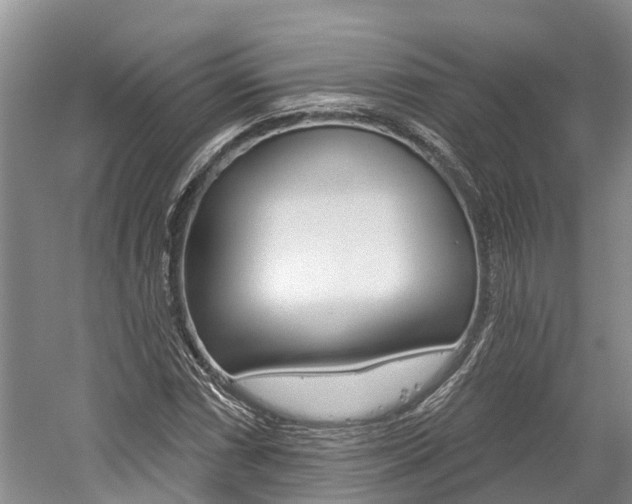 X0000059821066200510210949