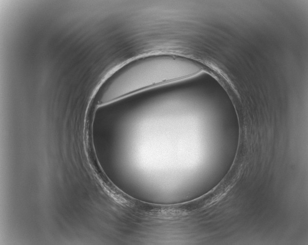 X0000059821077200510210949