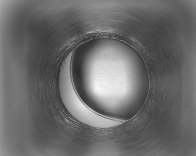 X0000059821110200510210948