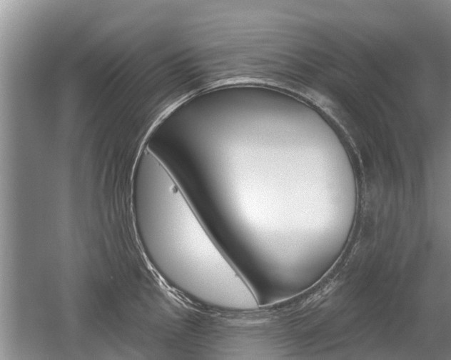 X0000059821145200510210949