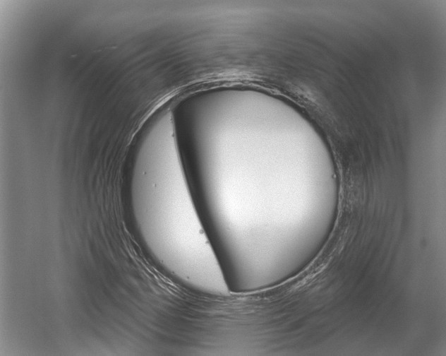 X0000059821162200510210948