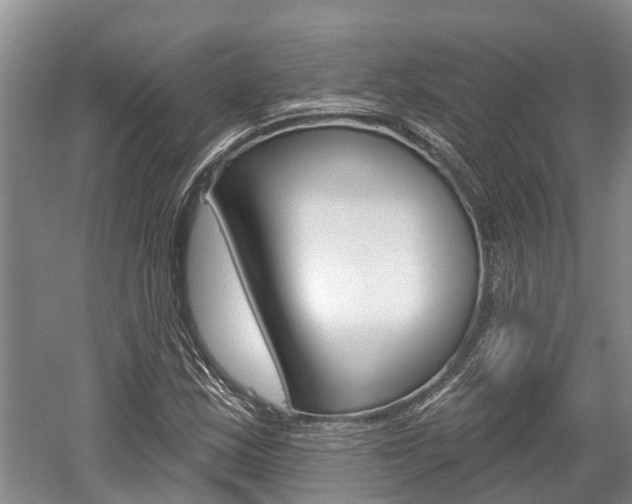 X0000059821163200510210948