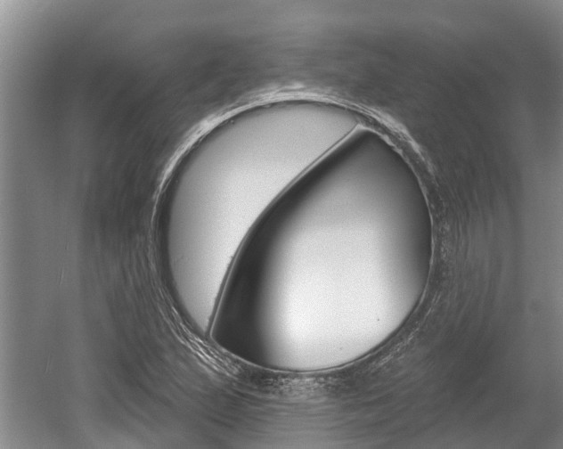 X0000059821167200510210948