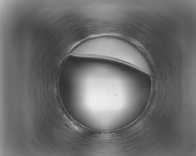 X0000059821177200510210948