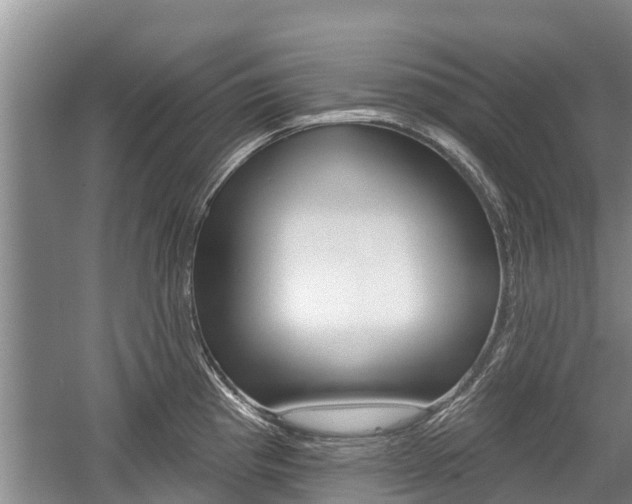 X0000059821193200510210947