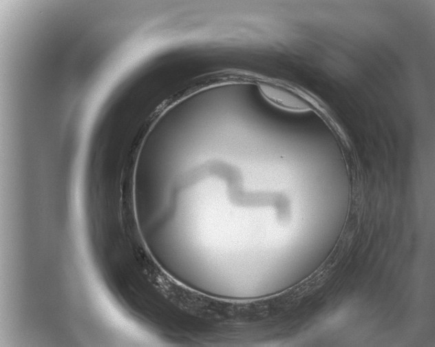 X0000059821199200510210947