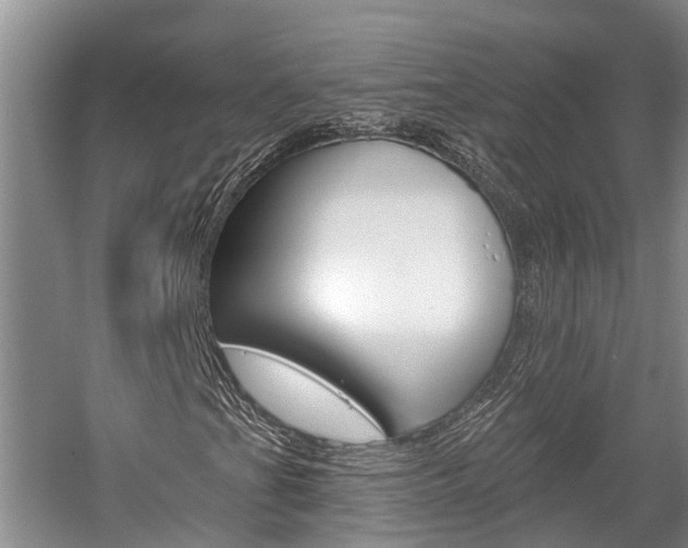 X0000059821201200510210946