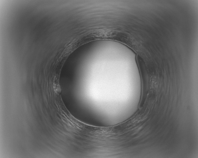 X0000059821202200510210946