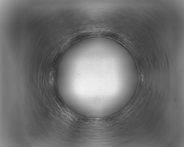 X0000059821204200510210946