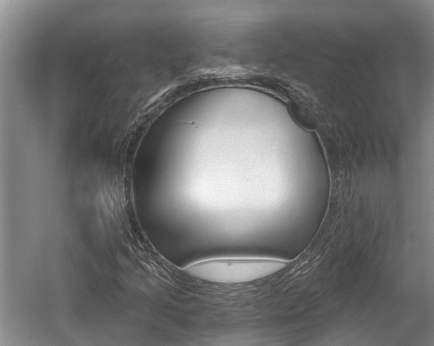 X0000059821205200510210946