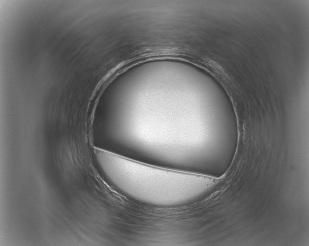 X0000059821212200510210947