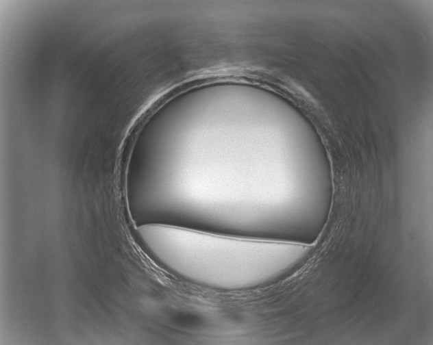 X0000059821216200510210947
