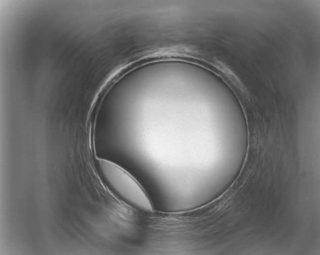 X0000059821224200510210947