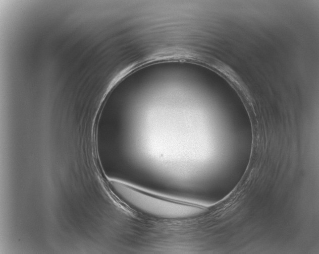 X0000059821242200510210947