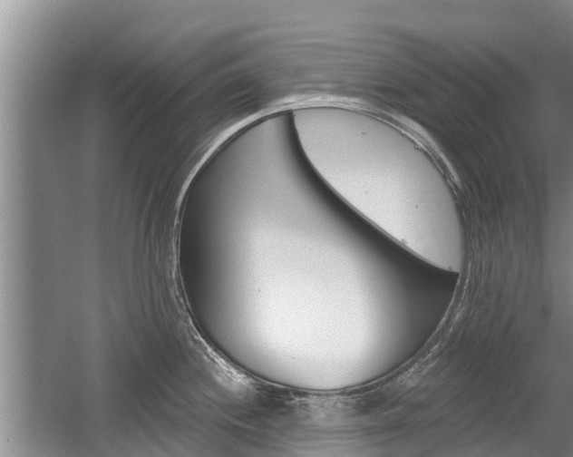 X0000059821244200510210947