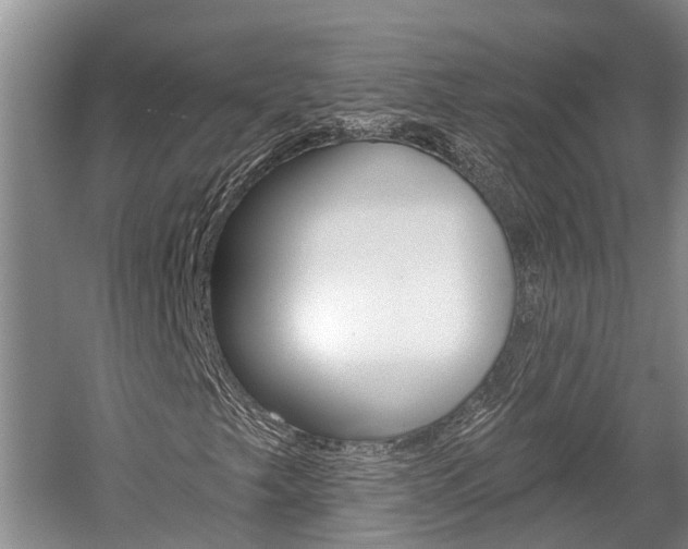 X0000059821249200510210946