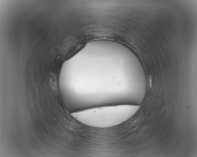 X0000059821251200510210946