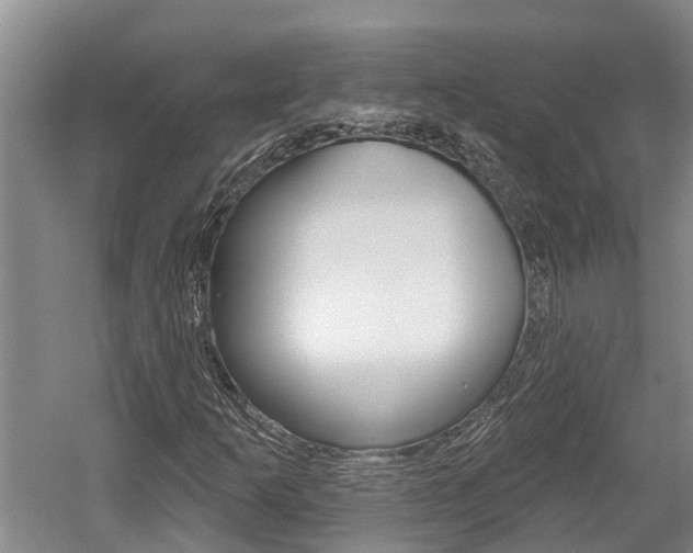 X0000059821253200510210946