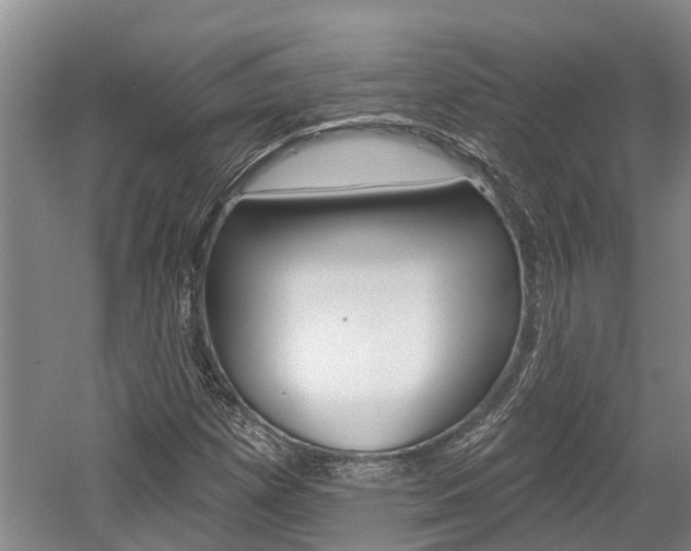 X0000059821257200510210946