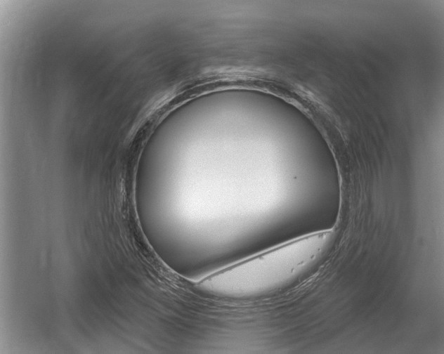 X0000059821261200510210946