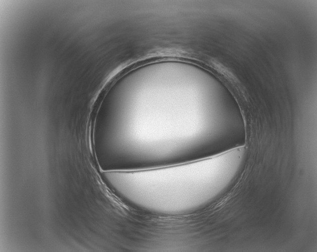 X0000059821272200510210946