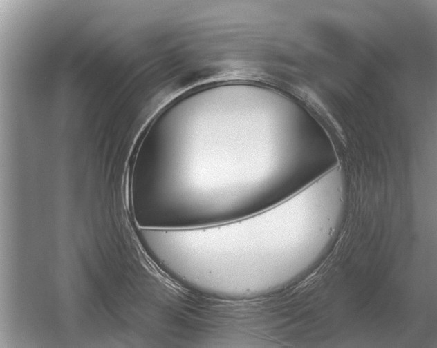 X0000059821276200510210946