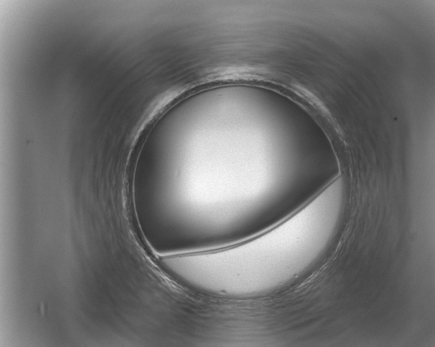 X0000059821277200510210946