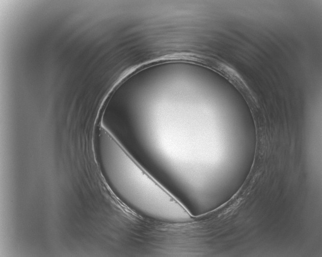 X0000059821284200510210946