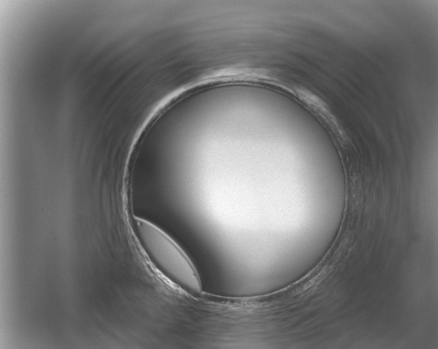 X0000059821288200510210946