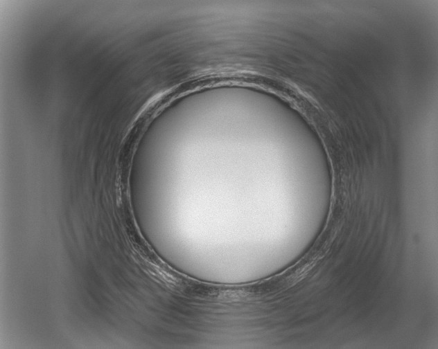 X0000059821306200510210945