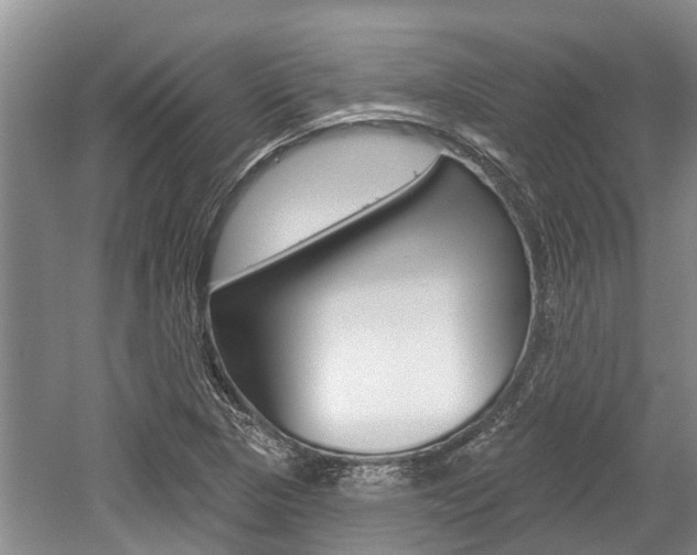 X0000059821313200510210945