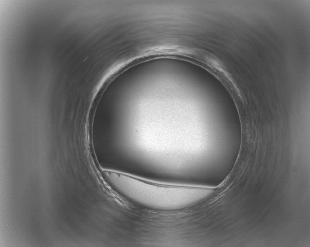 X0000059821328200510210945