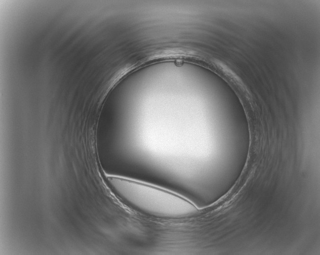 X0000059821329200510210945