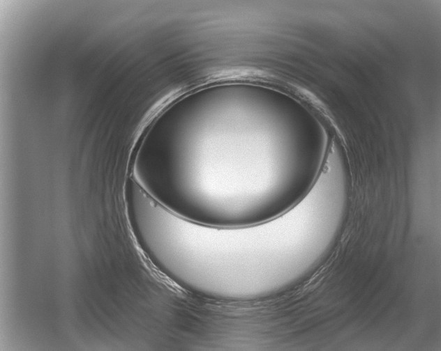 X0000059821330200510210945