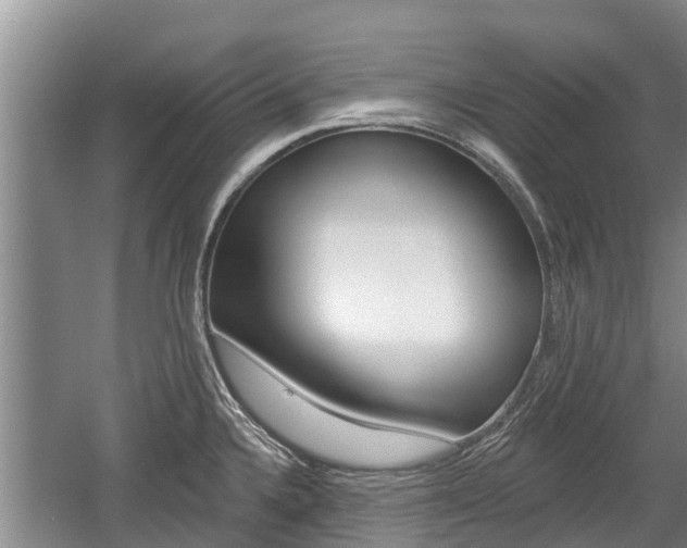 X0000059821336200510210945