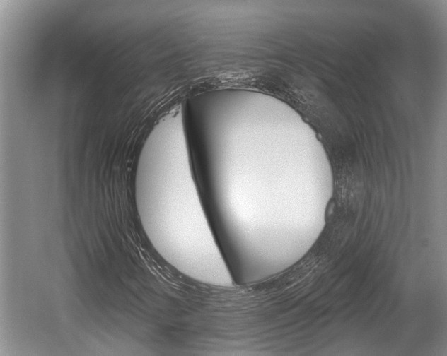 X0000059821346200510210945
