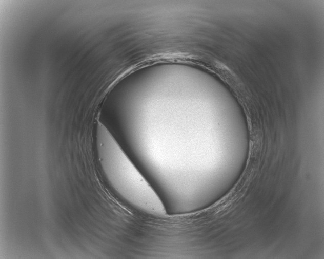 X0000059821361200510210944